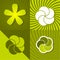 Set a green spring backgrounds with flowers