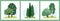 Set of green trees, bushes. Collection of deciduous and evergreen forest and park plants. Hand-drawn design elements for
