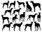 Set of Greyhound Dog silhouette vector art