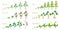 Set of growth cycles of agricultural crops on a white.