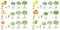 Set of growth cycles of citrus trees on a white background.