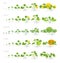 Set of growth stages cucurbitaceae plants. Pumpkin melon and watermelon zucchini or courgette and cucumber plant. Life