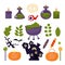 Set Halloween plant leaves, candy, pumpkin, castle, potion, poison, bottles, eye.