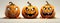 A set of Halloween pumpkins on a solid background