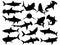 Set of hammerhead sharks silhouette vector art on a white background