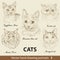 Set of hand drawing cats 1