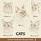 Set of hand drawing cats 2