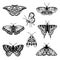 Set of hand drawn black outline butterflies on white background