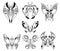 Set of Hand Drawn Cartoon Vector Butterfly Like Creatures in top