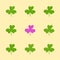 Set of hand-drawn clover leaves in grunge style.Collection of magical plant Shamrock.Decoration for St. Patrick`s Day,trefoils an