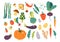 Set with hand drawn colorful doodle vegetables. Vegetables flat icons set cucumber, carrot, onion, tomato
