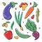 Set of hand drawn colorful vegetables and greens. Eggplant, cucumber, carrot, chanterelle, mushroom, beet, asparagus, red pepper,