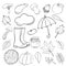 Set of hand drawn doodle elements about autumn. Cozy fall collection of drawings, outline vector drawing