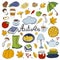 Set of hand drawn doodle elements about autumn. Cozy fall collection of drawings, vector drawing