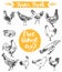 Set hand drawn eggs farm fresh chicken meat vector