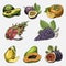 Set of hand drawn, engraved fresh fruits, vegetarian food, plants, vintage grape, papaya, pitaya or dragon fruit