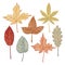 Set of hand drawn fall leaves, autumn symbols