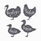 Set of hand drawn hipster style farm birds