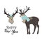 set of hand drawn image of bucks with large antlers cute deer. vector illustration animal isolated on white for hunting products