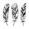 Set of hand drawn ornamental feathers, line art, zentangle inspired s