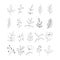 Set hand drawn outline leaves. Black line doodle floral for invitations, greeting cards, banners.