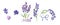 Set of hand drawn sketch of Lavender flower and cute bows isolated on white background. Vintage  illustration. France provence