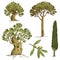 Set of hand drawn trees italian cypress and stone pine , pinea, olive vector illustration, engraved symbols of