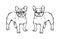 Set of Hand drawn vector french bulldogs