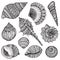 Set of hand drawn vector ornate seashells.
