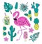 Set of hand drawn vector tropical elements with flamingo, exotic leaves.