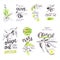 Set of hand drawn watercolor labels and signs of olive oil