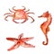 Set of hand drawn watercolor sea creatures: orange crab, starfish and sea horse. Colorful vector illustrations isolated on white