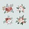 Set of hand drawn winter bouquets made of evergreen branches, leaves, berries, fruit and flowers. Christmas floral