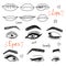 Set of hand drawn womens eyes and lips