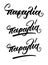 Set of hand lettering calligraphy in greek language paralia means beach.