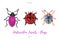 Set of hand painted watercolor bugs, vector.