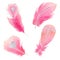 Set of hand painted watercolor feathers. Isolated clipart for greeting cards, wedding invitations.