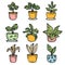 Set handdrawn potted plants, colorful pots various leafy indoor plants. Simple line art style