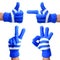 Set of Hands in Knitted Blue Gloves isolated. Thumb Up, Pointing, Victory, Ok Sign