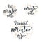 Set of handwritten winter sale inscriptions. Big Winter sale, Special winter offer, Winter sale vector hand lettering. Brush