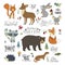 Set of hannddrawn cute forest animals and lettering quotes.