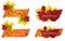 Set of Happy Thanksgiving banners with colorful autumn leaves and paper scroll ribbon. Vector