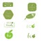 Set healthy food labels. Organic tags. Oranic food, sugar free, eco friendly, bio, eco, gluten free design elements. Isolated on