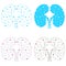 Set of healthy kidney internal organ low poly geometric model, dot line. Urology system medicine disease treatment. Future science