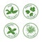 Set of herbs labels. 100 organic. Vector illustration