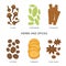 Set of Herbs and Spices. Organic and healthy food isolated element Vector illustration.