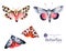 Set of high quality hand painted watercolor Butterflies and moths.