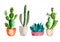 Set of high quality hand painted watercolor elements for your design with succulent plants, cactus and more.