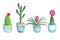 Set of home green plants and cacti watercolor  illustration. Different types of various kinds of home cactus, palm tree  in