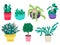 A set of home plants in pots. Cacti, ficus, rose, bonsai. Decorative flowers and greenery in flower pots.Gardening. pots